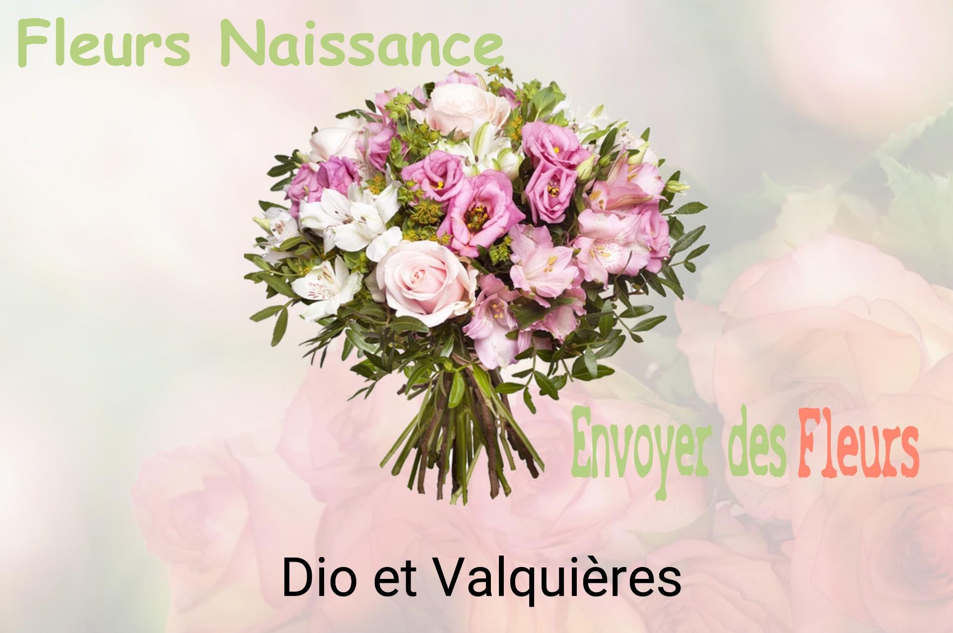 Bouquet de fleurs de naissance livré à Dio-et-Valquières